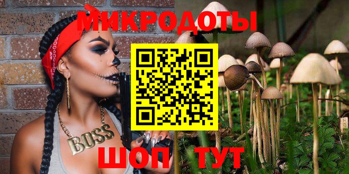 Псилоцибиновые грибы Cubensis Тимашёвск